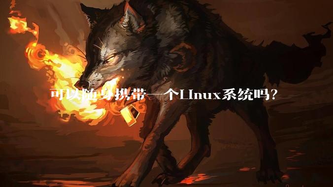 可以随身携带一个Linux系统吗？