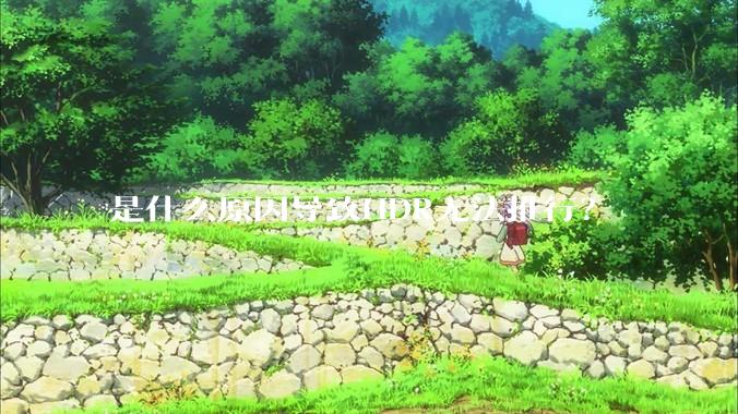 是什么原因导致HDR无法推行？