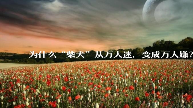为什么“柴犬”从万人迷，变成万人嫌？