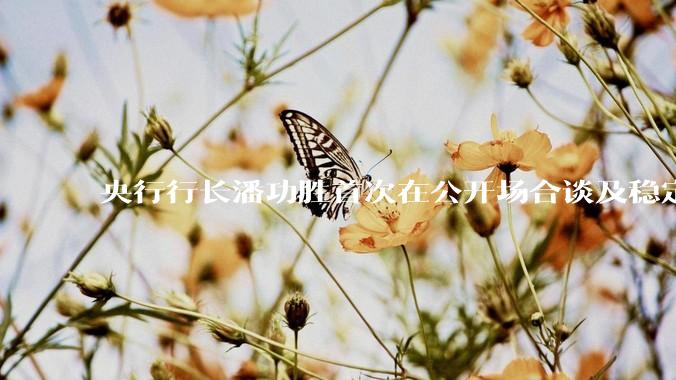 央行行长潘功胜首次在公开场合谈及稳定币，稳定币是什么？有何深意？