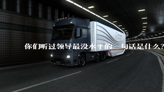 你们听过领导最没水平的一句话是什么？