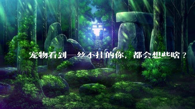 宠物看到一丝不挂的你, 都会想些啥?