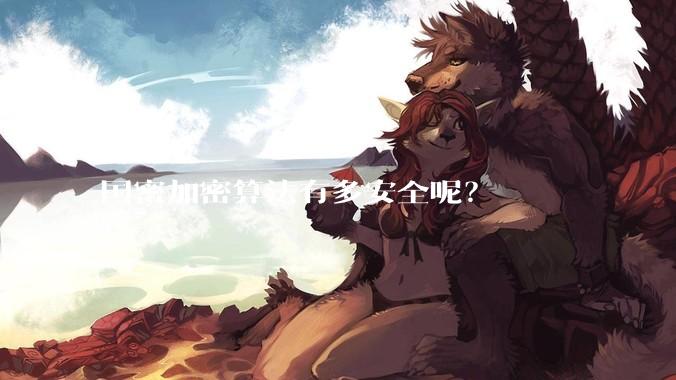 国密加密算法有多安全呢？