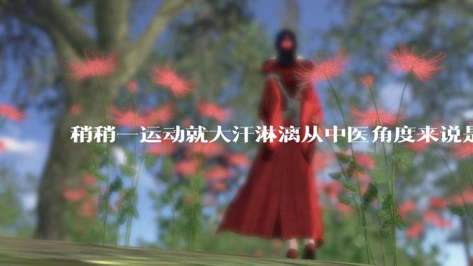 稍稍一运动就大汗淋漓从中医角度来说是什么原因？