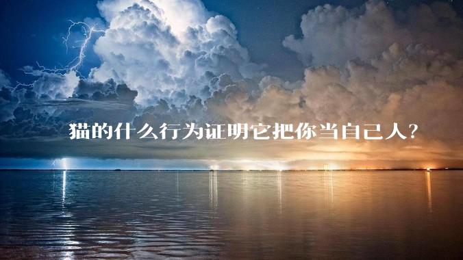 猫的什么行为证明它把你当自己人？