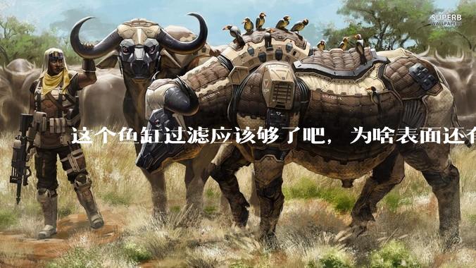 这个鱼缸过滤应该够了吧，为啥表面还有不少泡泡？