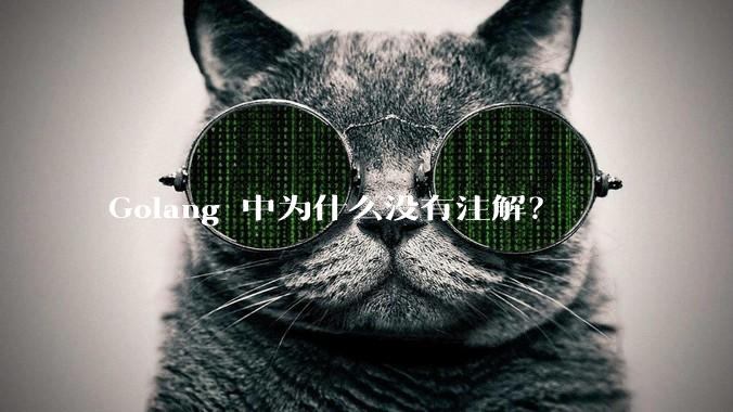 Golang 中为什么没有注解？
