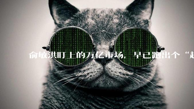 俞敏洪盯上的万亿市场，早已跑出个“超级玩家”_红松_老年人_李乔