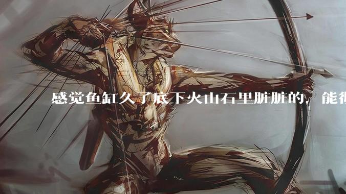 感觉鱼缸久了底下火山石里脏脏的，能彻底换水清理一遍不？