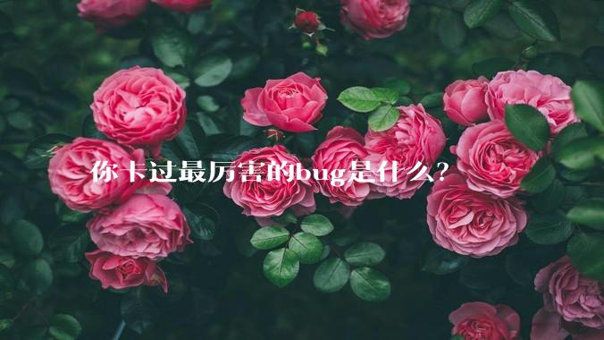 你卡过最厉害的bug是什么？