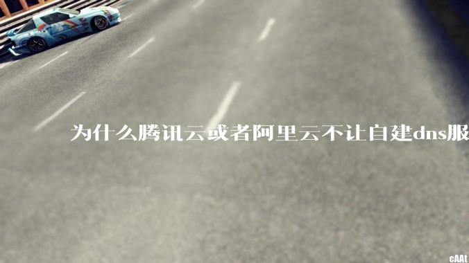 为什么腾讯云或者阿里云不让自建dns服务器?