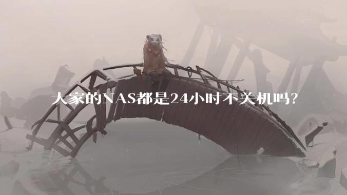 大家的NAS都是24小时不关机吗？