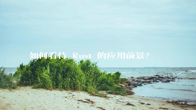如何看待 Rust 的应用前景？