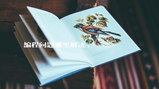 编程问题哪里解决?