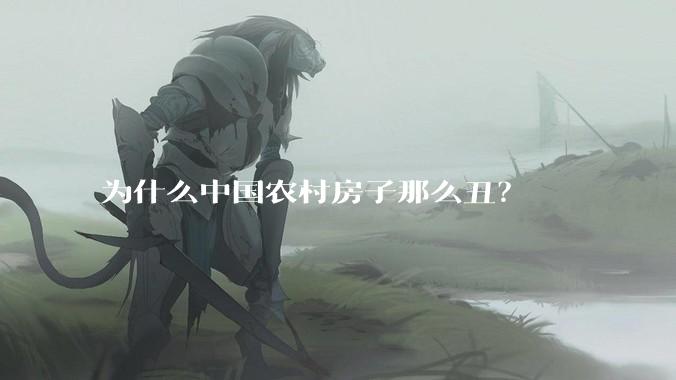 为什么中国农村房子那么丑？